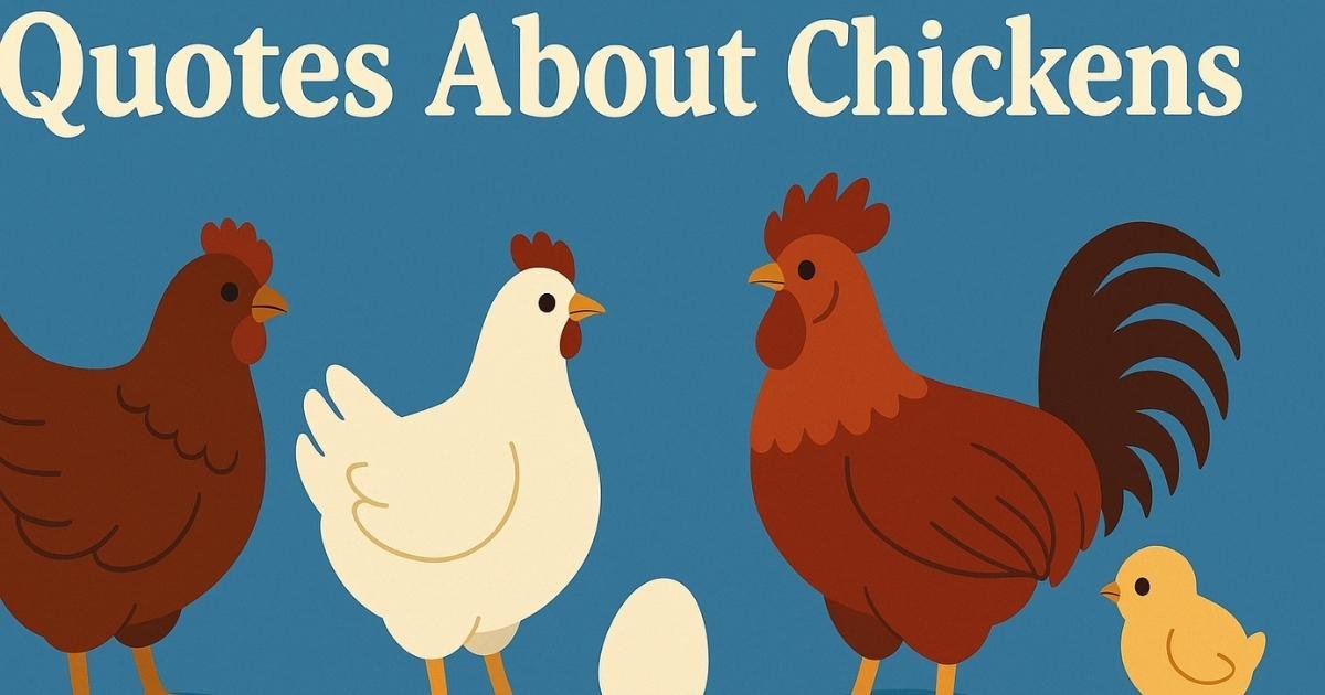 Best Quotes About Chickens to Feather Your Day